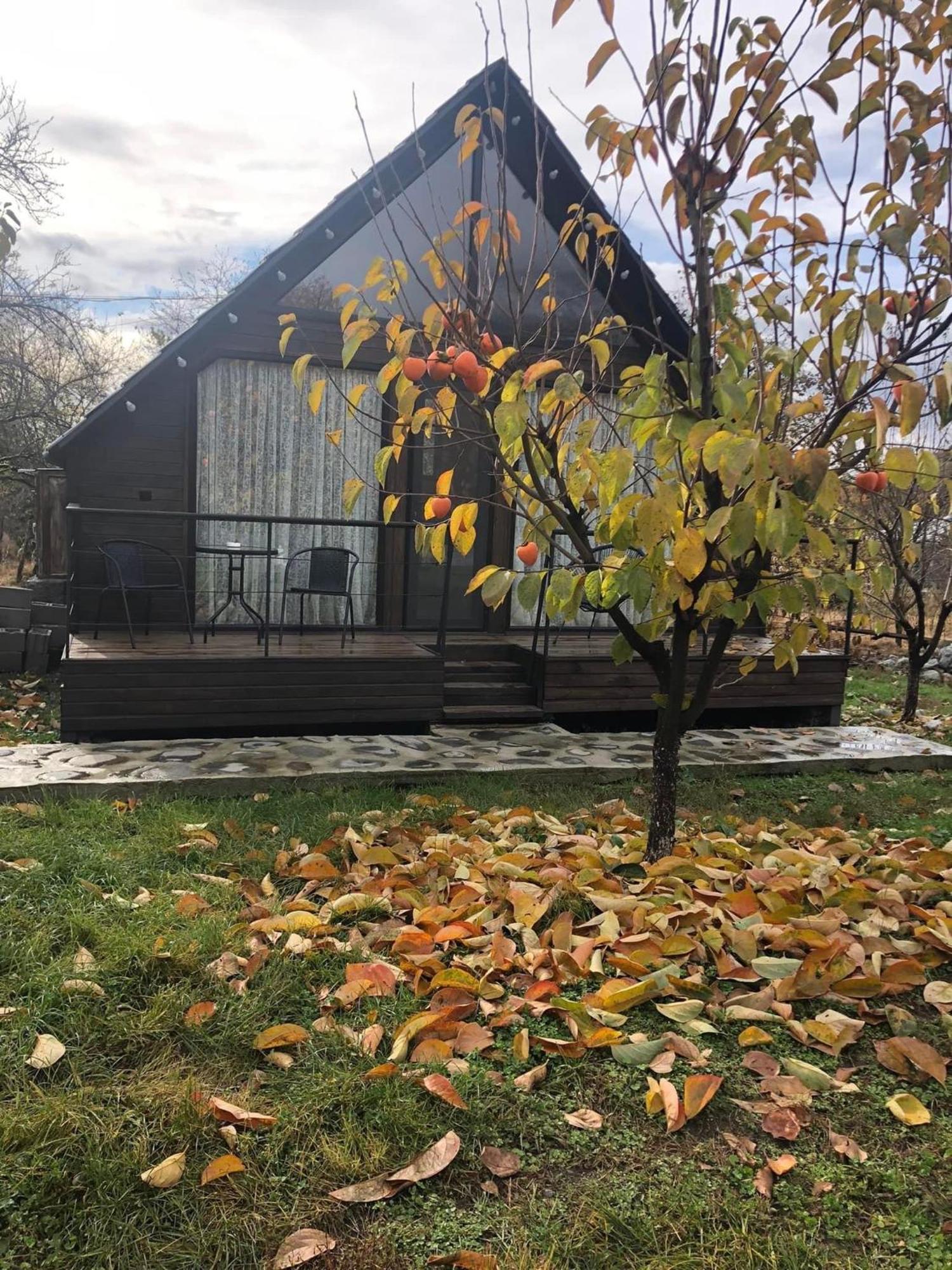 Wood House Lagodekhi Eksteriør bilde